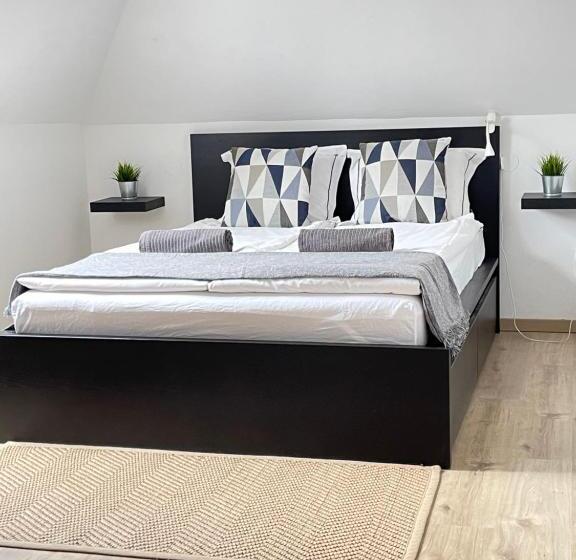 펜션 Hencz Vendégház