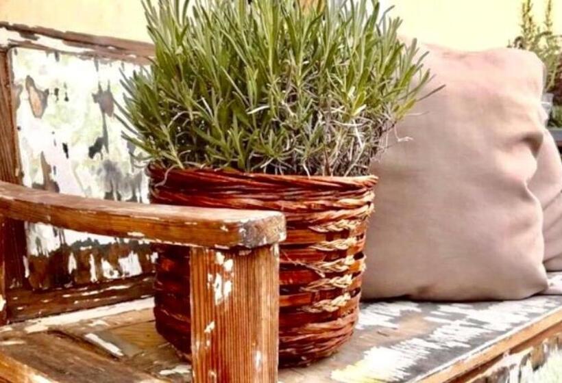 펜션 Hencz Vendégház