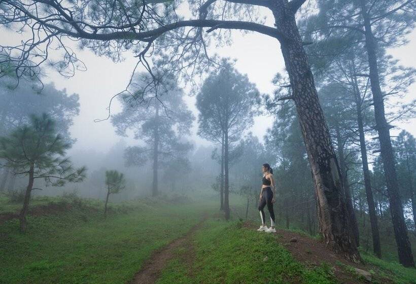 Cassia Resort, Kasauli