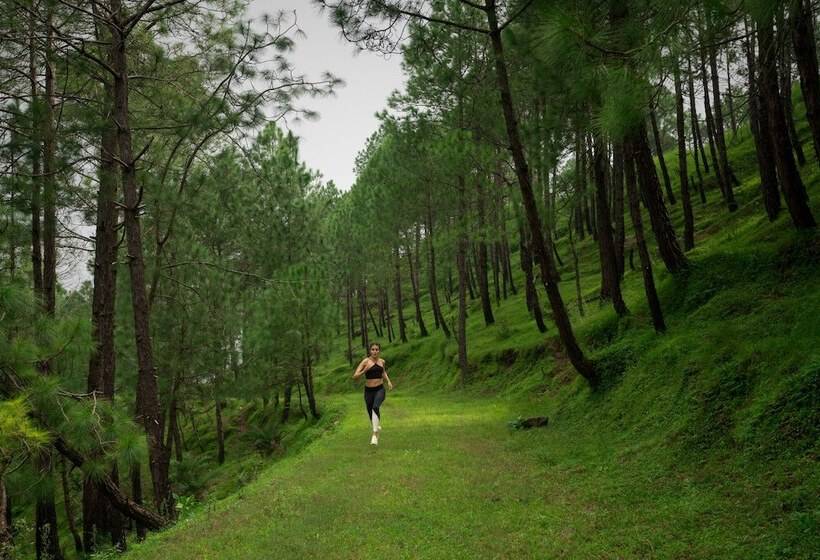 Cassia Resort, Kasauli