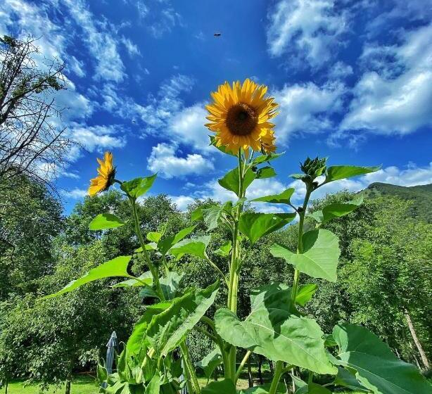 Отель Rifugio Fornas