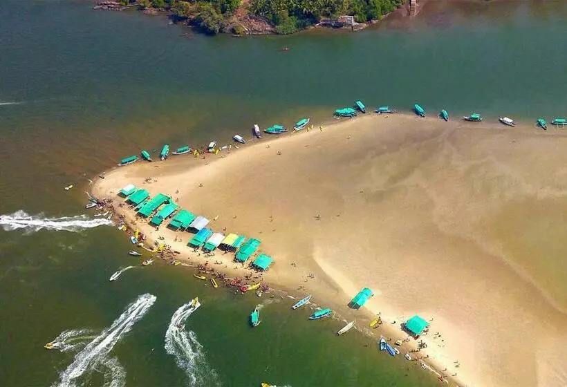 Ocean Delight   The Beach Resort