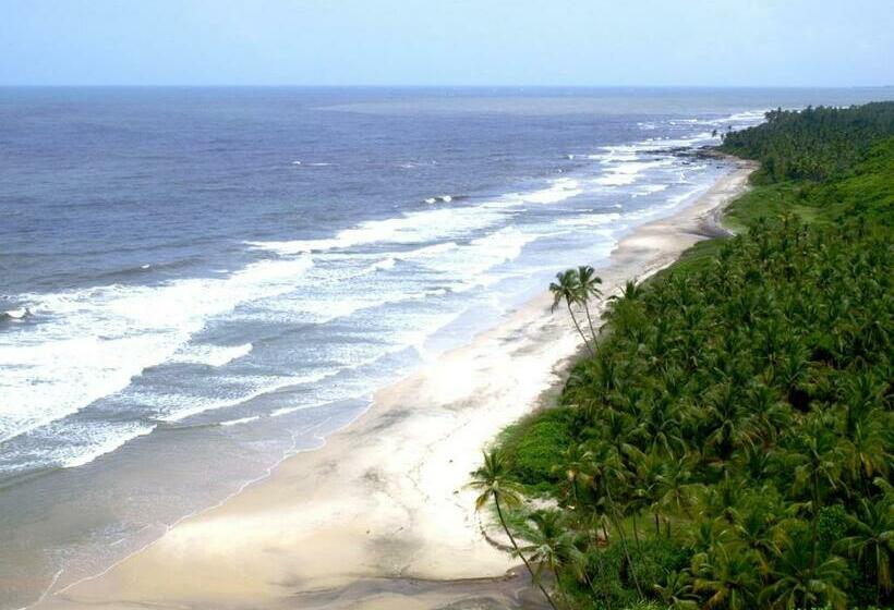 Ocean Delight   The Beach Resort