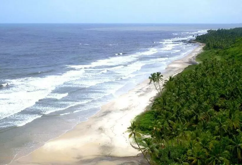 Ocean Delight   The Beach Resort