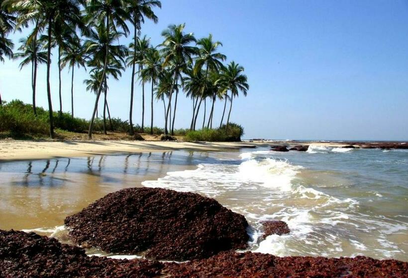 Ocean Delight   The Beach Resort