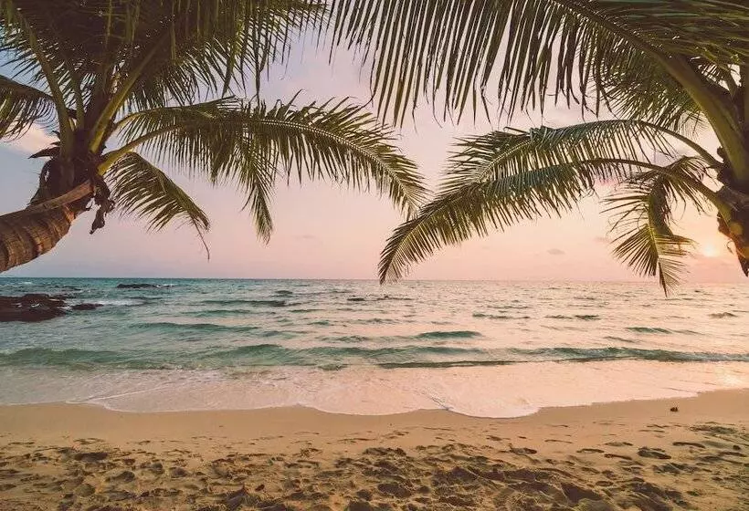 Majatalo B&b Beach House Pousada Exclusiva Pés Na água Pontal Do Peba única Em Alagoas