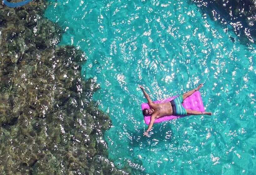 ペンション B&b Beach House Pousada Exclusiva Pés Na água Pontal Do Peba única Em Alagoas