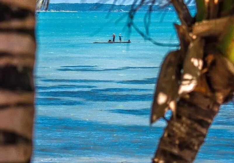Majatalo B&b Beach House Pousada Exclusiva Pés Na água Pontal Do Peba única Em Alagoas