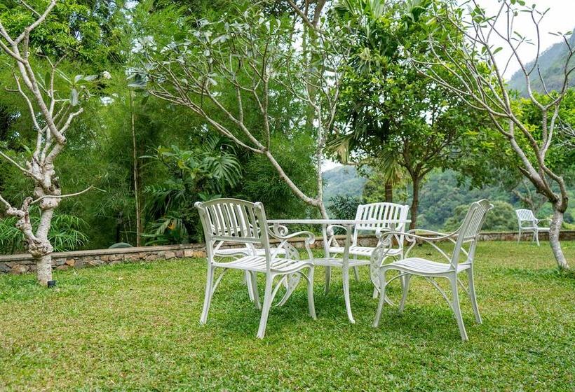 بنسيون Villa Lé Maas Tota