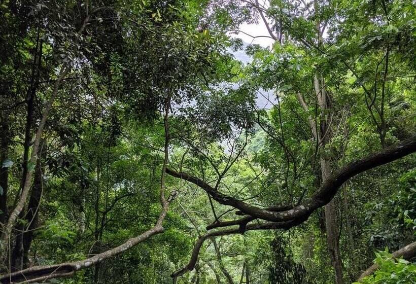 بنسيون Villa Lé Maas Tota