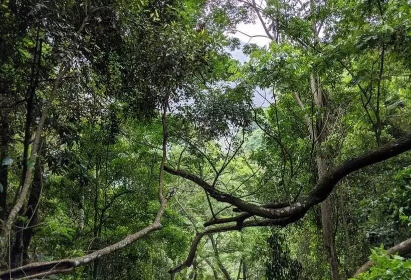 ペンション Villa Lé Maas Tota