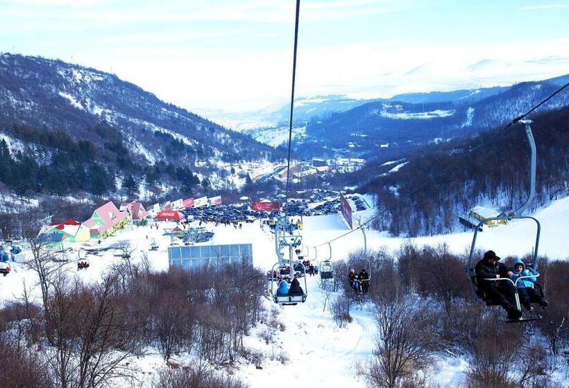 Tsaghkadzor, Alvina Complex Apartment 163