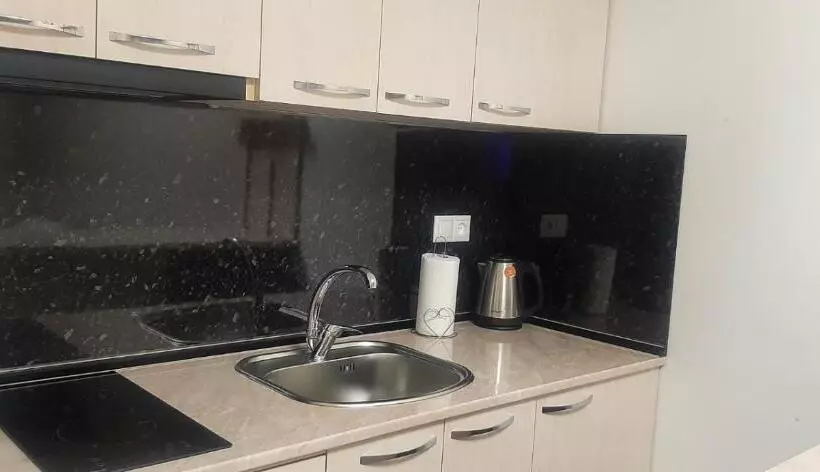 Tsaghkadzor, Alvina Complex Apartment 163