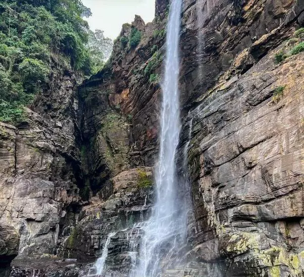 ユースホステル Homeaway Homestay Hatton