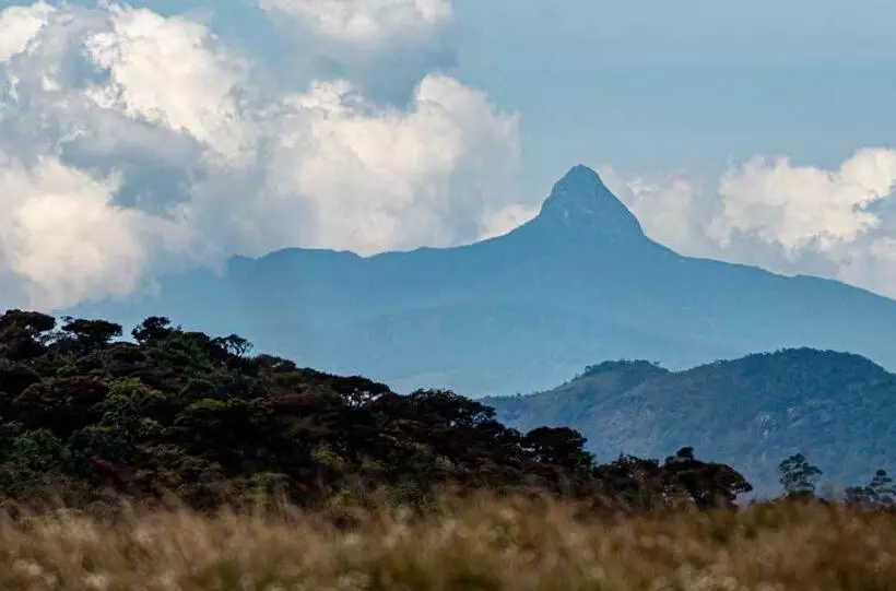 ユースホステル Homeaway Homestay Hatton