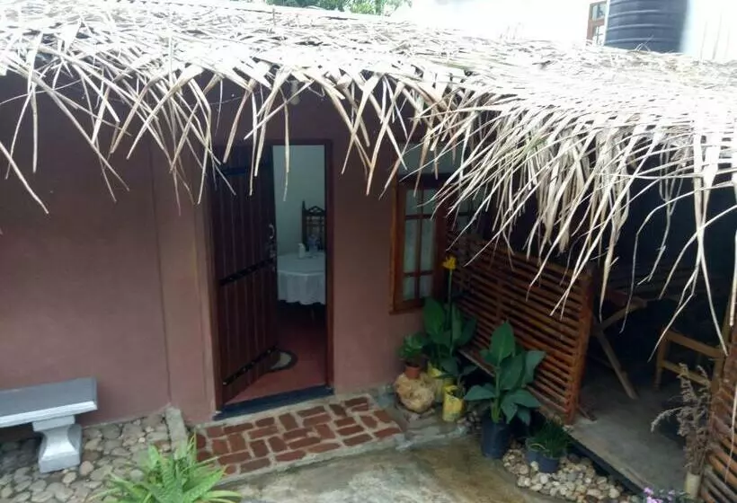 ユースホステル Homeaway Homestay Hatton