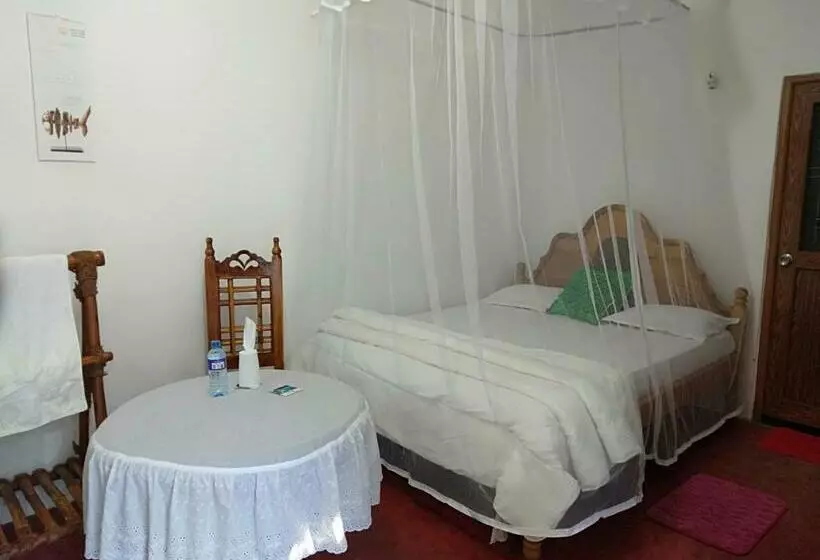 ユースホステル Homeaway Homestay Hatton