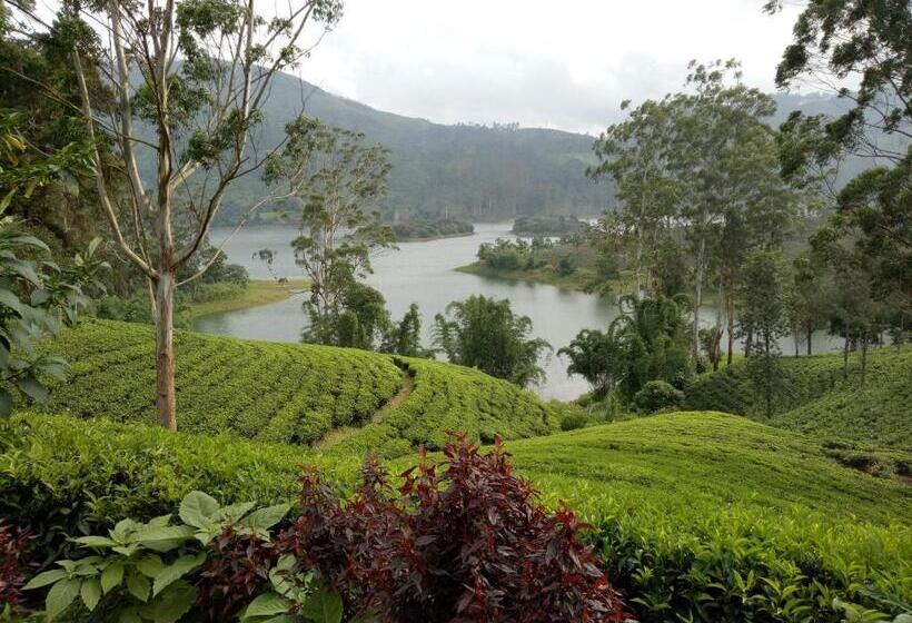 Ostello Homeaway Homestay Hatton