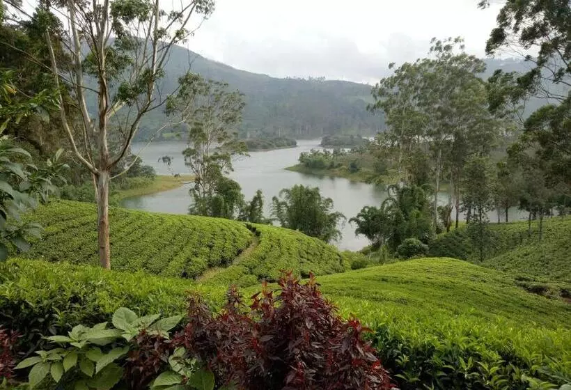 ユースホステル Homeaway Homestay Hatton