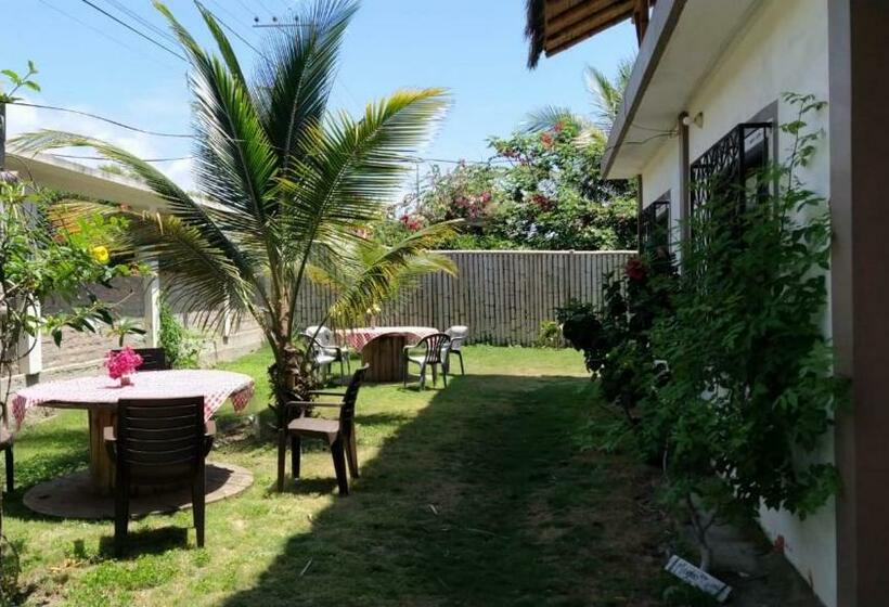 Hostel Mambo Ecohostal