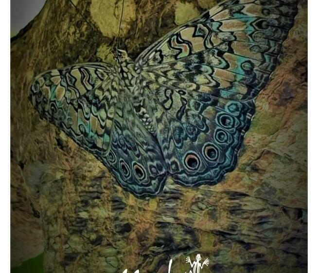 Hostel Mambo Ecohostal