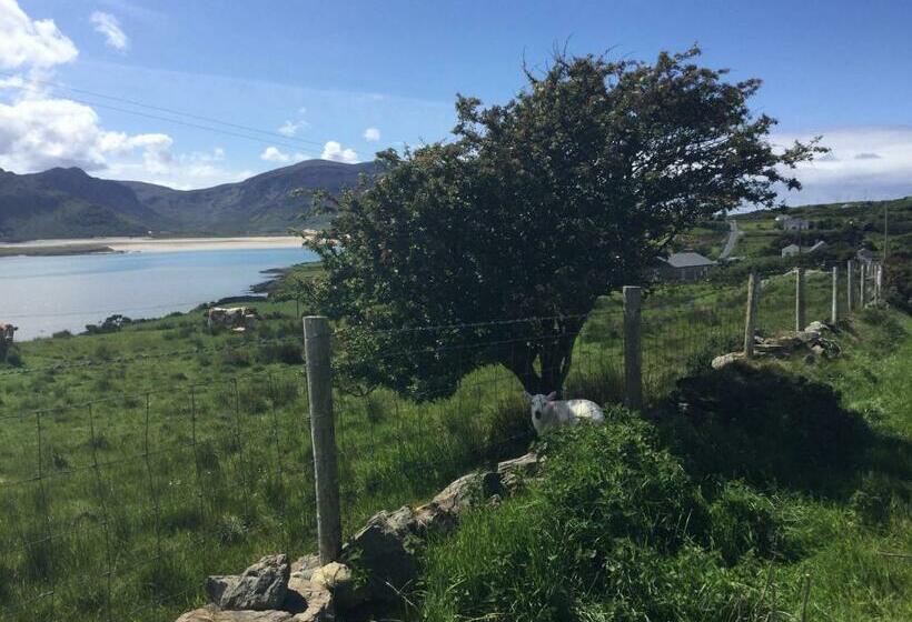 مبيت وإفطار Robins Nest