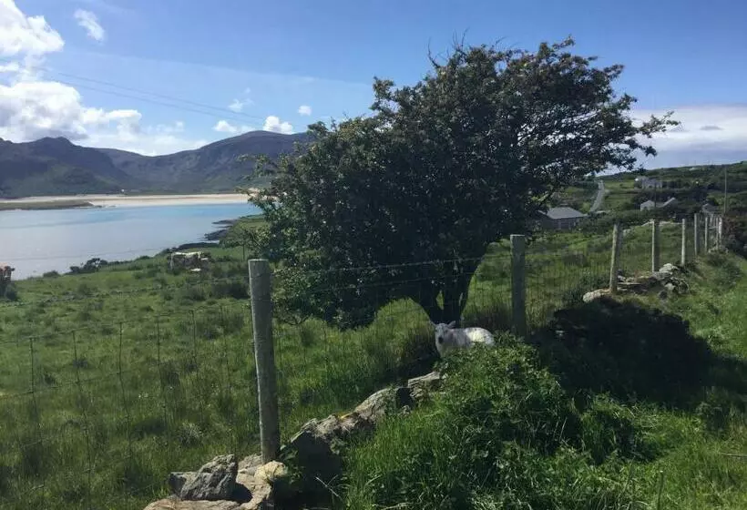 Aamiaismajoitus (B&B) Robins Nest