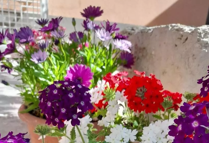 ベッドアンドブレックファースト Su Fassoi Cabras