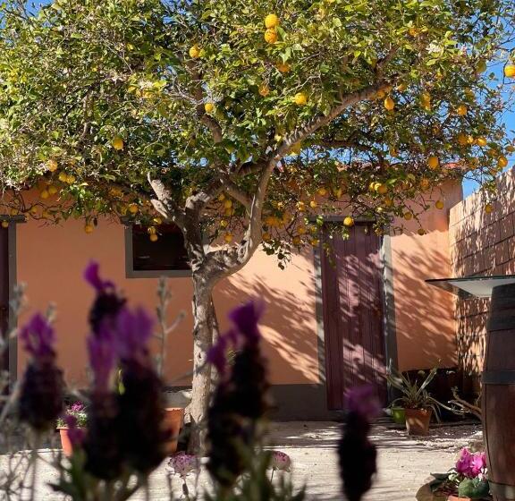 ベッドアンドブレックファースト Su Fassoi Cabras