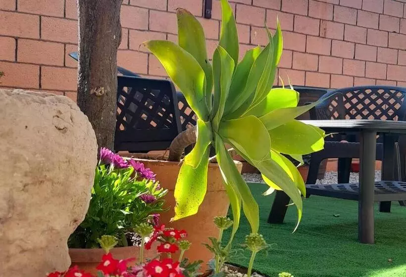 ベッドアンドブレックファースト Su Fassoi Cabras