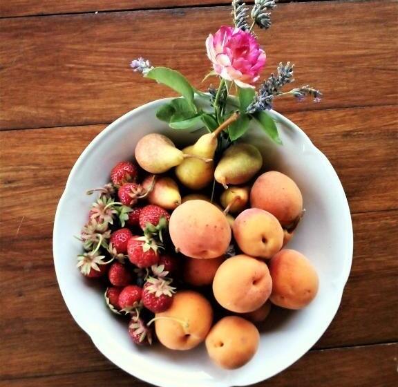 مبيت وإفطار Timo E Rosmarino