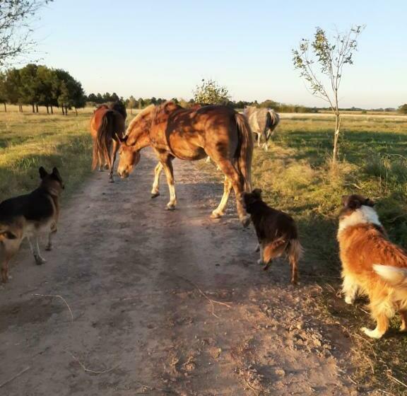 Hotelli Cabaña Rural El Encuentro
