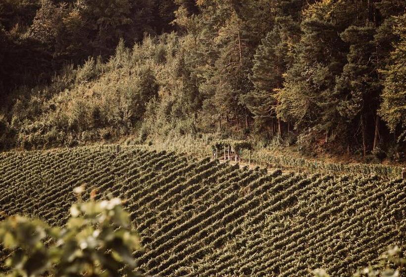 هتل Weingut Kollerhof Am Eichberg