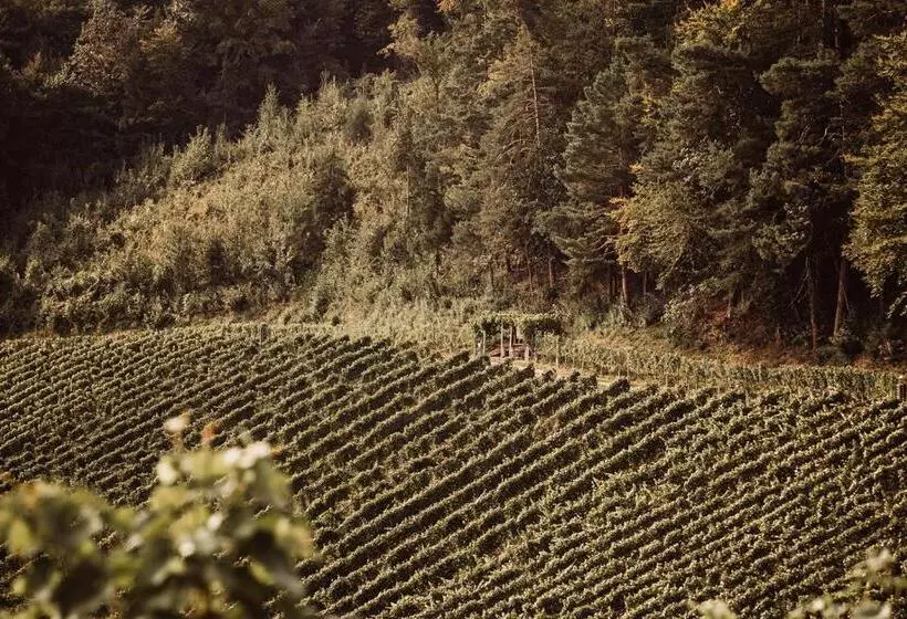 ホテル Weingut Kollerhof Am Eichberg
