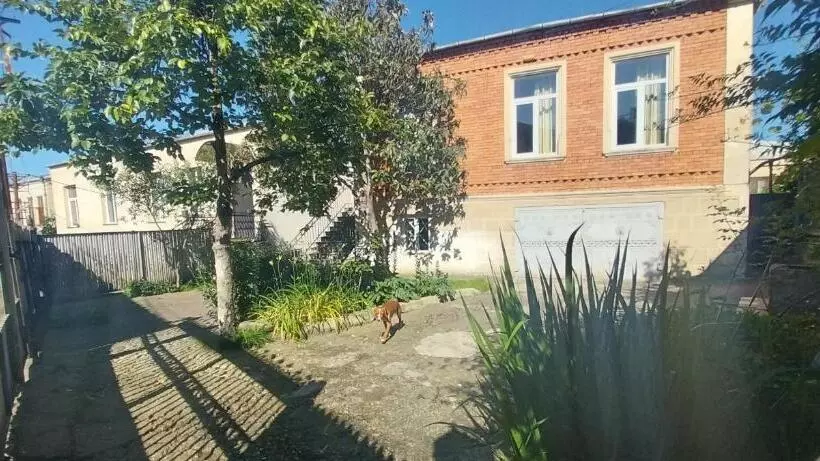 پانسیون Guest House Bubu