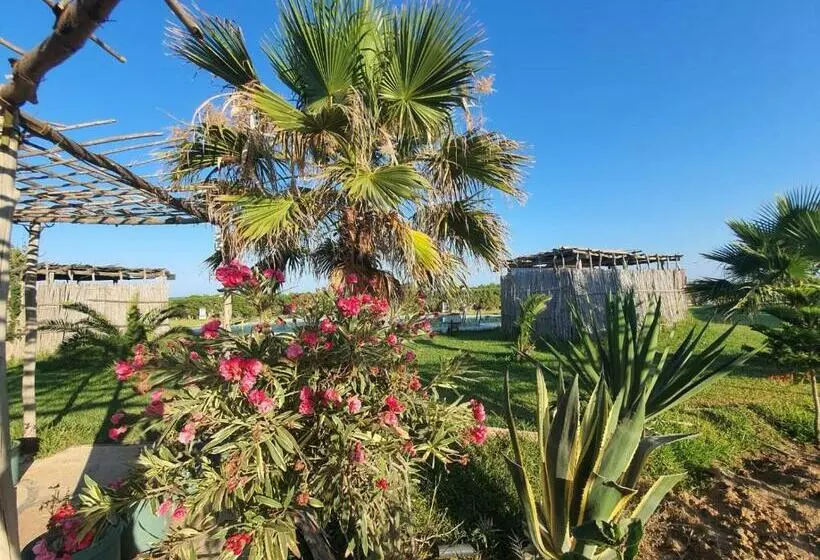 ペンション Villa Yasmine Diar Maamoura