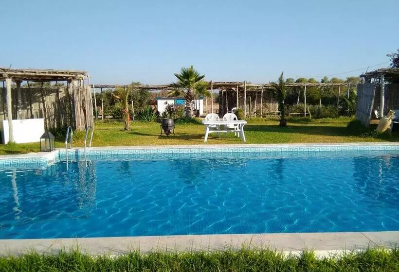 ペンション Villa Yasmine Diar Maamoura