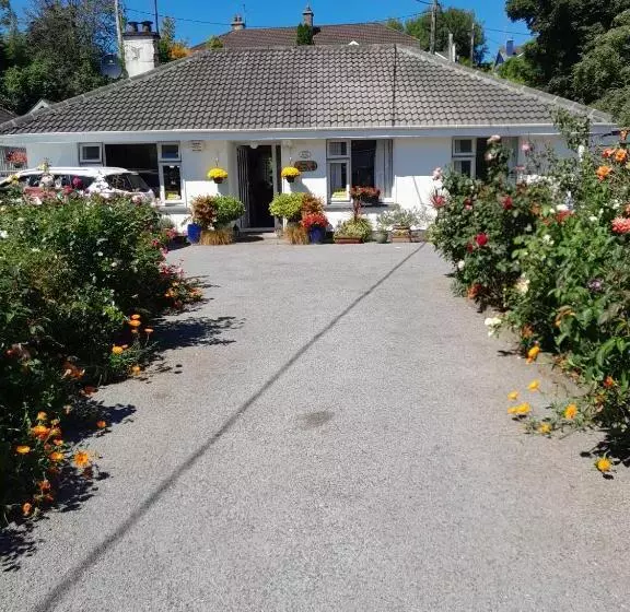 Saint Martin S Bed And Breakfast