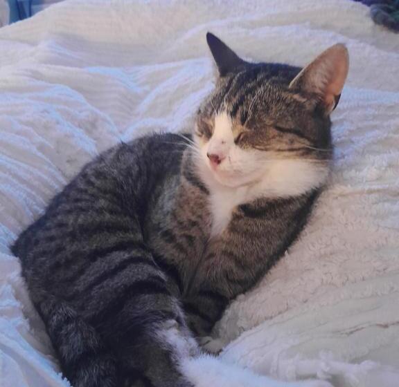 Saint Martin S Bed And Breakfast