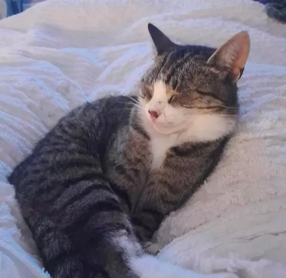 Saint Martin S Bed And Breakfast