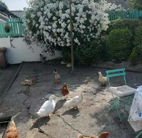 Saint Martin S Bed And Breakfast