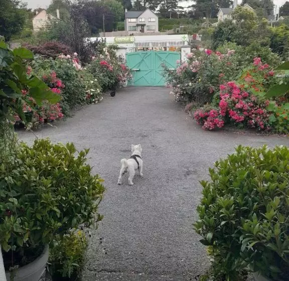 Saint Martin S Bed And Breakfast