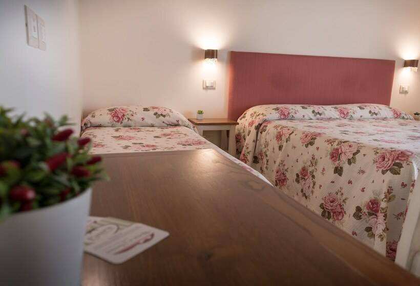 Bed and Breakfast Rosa Di Assisi