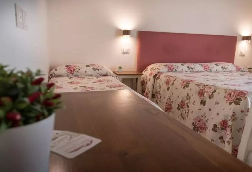 تختخواب و صبحانه Rosa Di Assisi