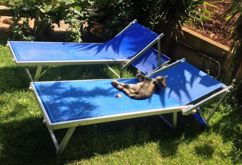 住宿加早餐 Torre Due Pani