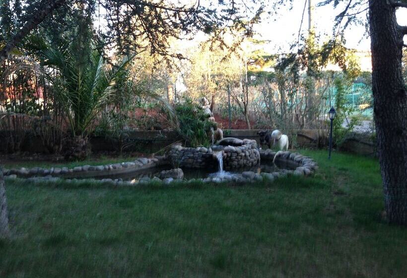 住宿加早餐 Torre Due Pani