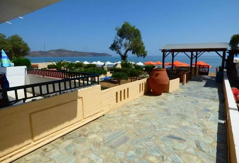 Camelia Studios & Apartments