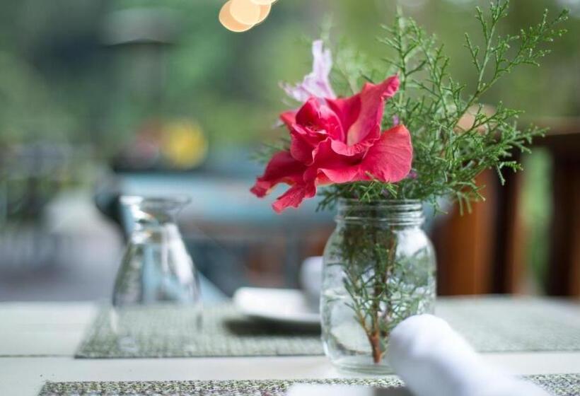 فندق Finca Lerida Coffee Plantation And Boutique