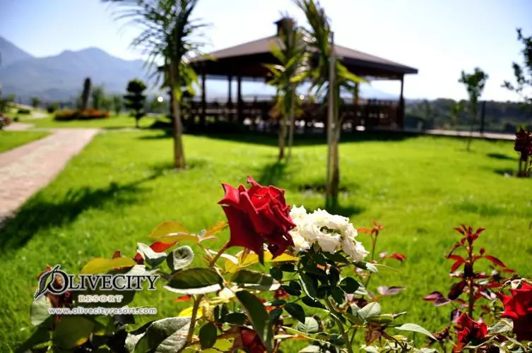 酒店 Green Garden City