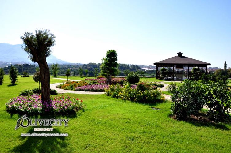 Отель Green Garden City